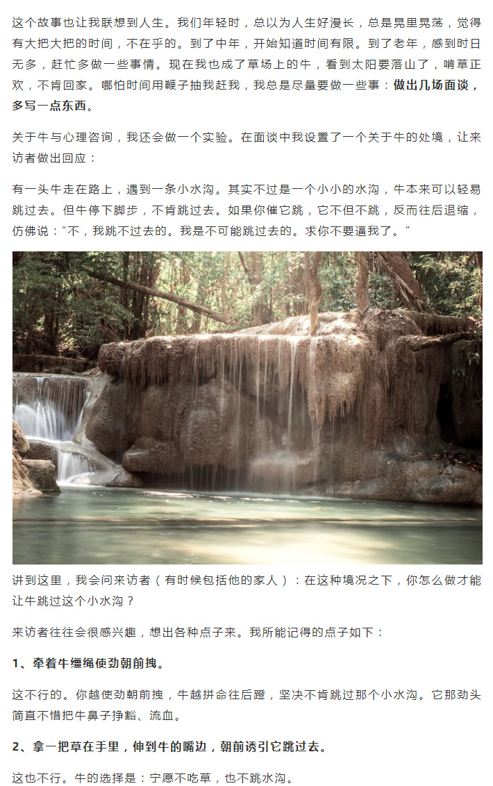 【王学富】牛与心理咨询_02.jpg